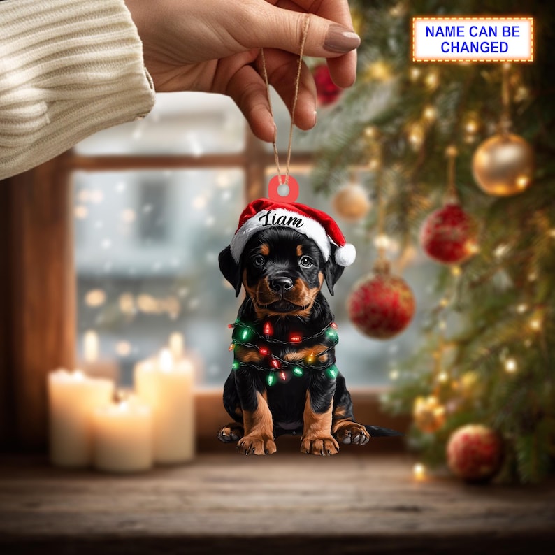 Custom Name Rottweiler Cute Dog With Santa Hat Christmas Lights Ornament, Christmas Tree Hanging Decor, Christmas Ornament, Flat 2D Ornament