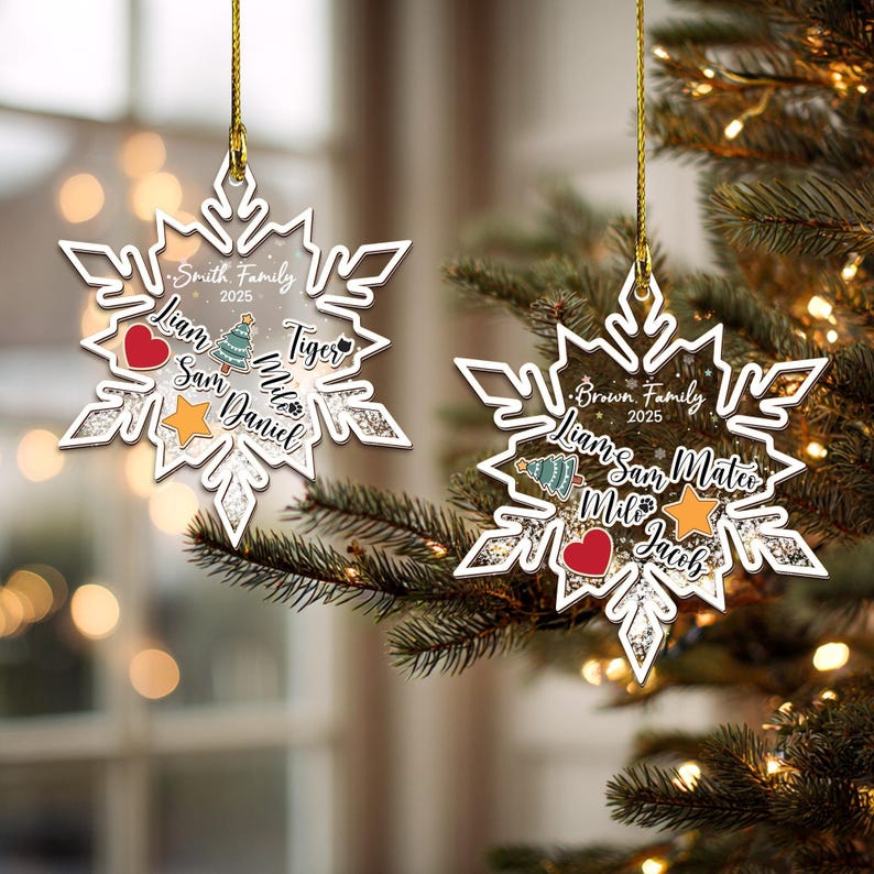 Personalized Family Shaker Ornament 2025, Custom 4D Ornament, Christmas Tree Decor, Family Name Holiday Keepsake