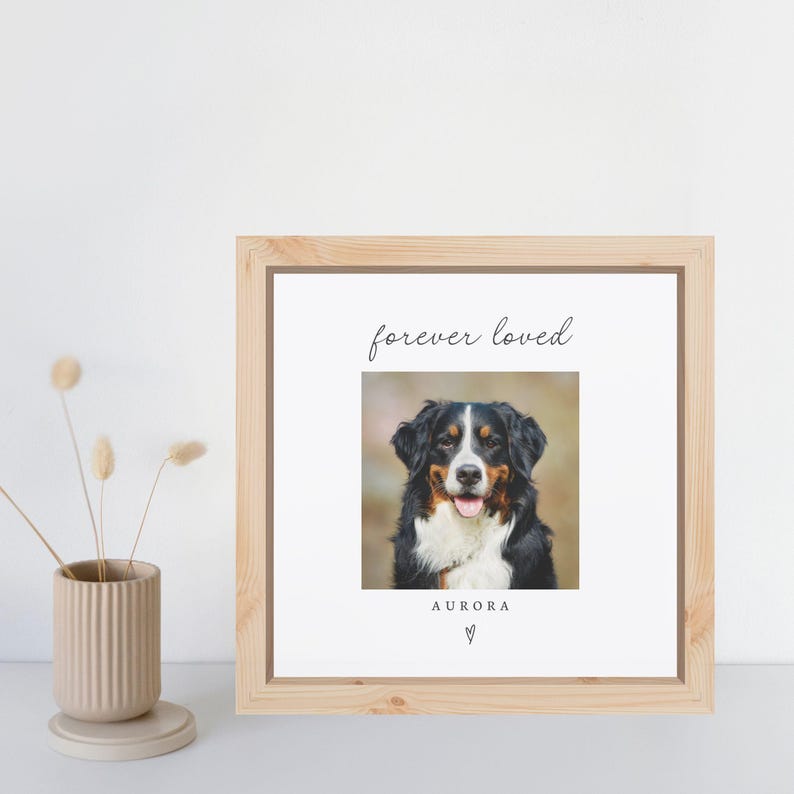 Dog Memorial Wood Frame Custom Dog Cat Pet Grief Gift Personalized Pet Loss Photo Frames Sympathy Bereavement Gifts In Loving Memory Picture