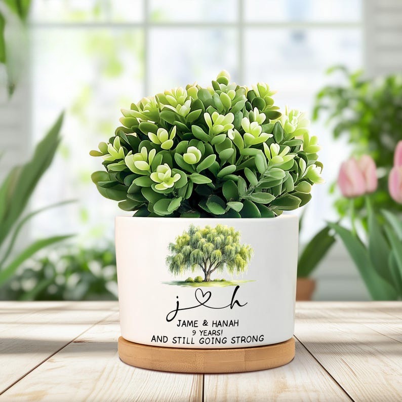 9th Anniversary Willow Tree Gift, 9 Year Anniversary Willow Plant Pot, Willow Tree Flower Pot, 9th Anniversary Gifts For Couple, Willow Gift
