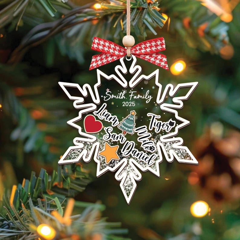 Personalized Family Shaker Ornament 2025, Custom 4D Ornament, Christmas Tree Decor, Family Name Holiday Keepsake