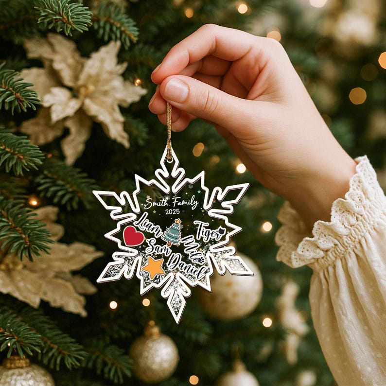 Personalized Family Shaker Ornament 2025, Custom 4D Ornament, Christmas Tree Decor, Family Name Holiday Keepsake