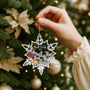 Personalized Family Shaker Ornament 2025, Custom 4D Ornament, Christmas Tree Decor, Family Name Holiday Keepsake