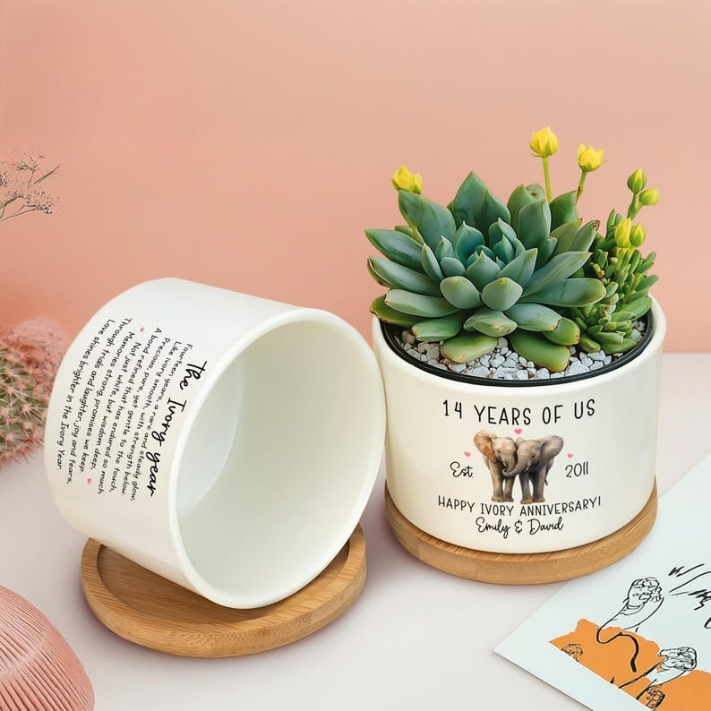 14th Ivory Wedding Anniversary Plant Pot, 14th Wedding Anniversary Gifts, 14 Years Anniversary, Couples Gifts, Gifts for Wife,The Ivory Year