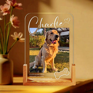 Personalized Pet Memorial LED Night Light, Custom Photo Pet Lover Night Light, Dog Keepsake Sign, Pet Loss Light Up Sign, Loss Of Dog Cat