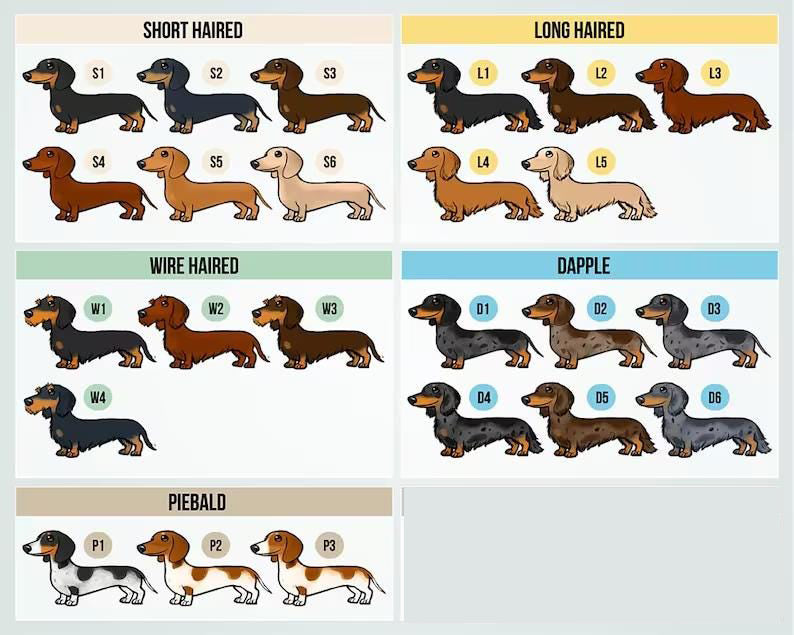 Personalized Dachshund Christmas Ornament: Dachshund Lovers Gift Custom Christmas Ornament Christmas Tree Decoration