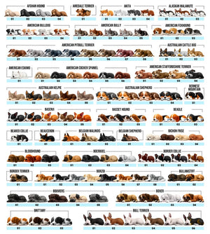 Personalized Dog Ornament 2025 First Christmas Keepsake