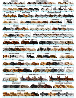 Personalized Dog Ornament 2025 First Christmas Keepsake