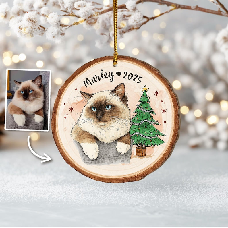 Personalized Cat Portrait From Photo Ornament, Dog Christmas Ornament, Cat Lover Gift, Pet Memorial Gift, Pet Sympathy Gift, Christmas Decor