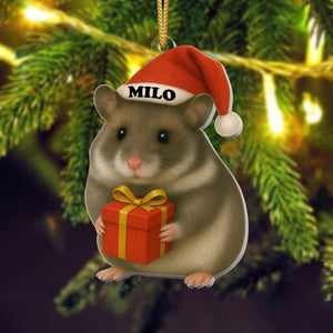 Personalized Hamster Christmas Ornament | Cute Pet Ornament with Name | Funny Holiday Gift for Small Pet Lovers | Custom Xmas Keepsake 2025