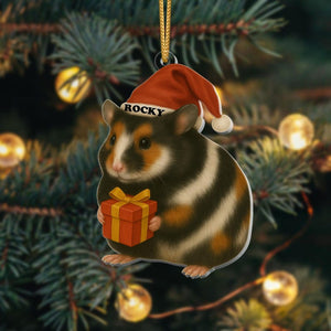 Personalized Hamster Christmas Ornament | Cute Pet Ornament with Name | Funny Holiday Gift for Small Pet Lovers | Custom Xmas Keepsake 2025
