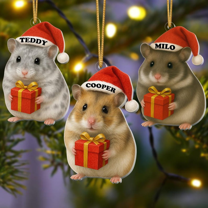 Personalized Hamster Christmas Ornament | Cute Pet Ornament with Name | Funny Holiday Gift for Small Pet Lovers | Custom Xmas Keepsake 2025