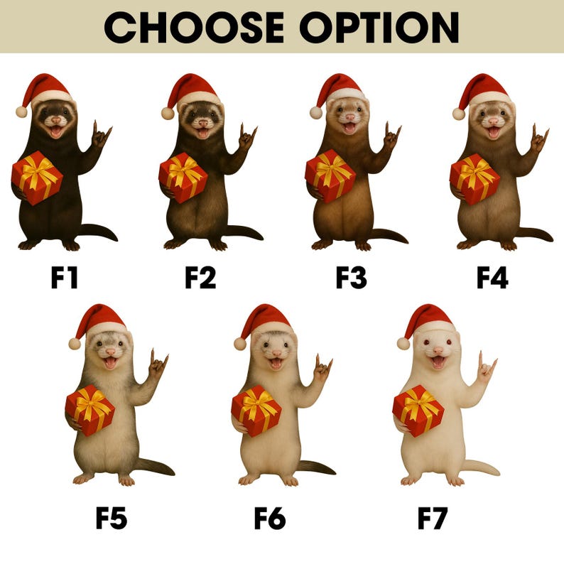 Personalized Ferret Christmas Ornament | Cute Pet Ornament with Name | Funny Holiday Gift for Ferret Lovers | Custom Xmas Keepsake 2025