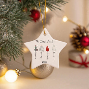 Personalised Christmas Bauble, 2025 Family Christmas Ornament, Famliy Tree Buable, Christmas Tree Decoration, Family Keepsake, Xmas Gift