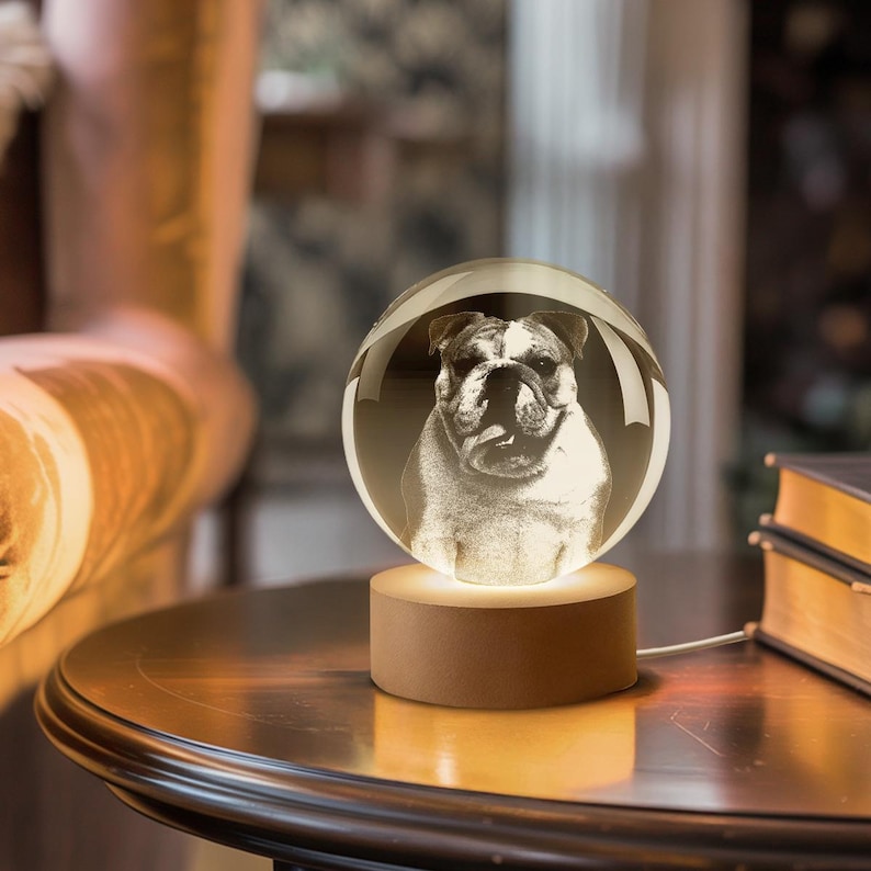 Personalized Crystal Photo Ball, Pet Dog Portrait Night Light, Photo Crystal Light, Christmas Gift, Custom Photo Gift, Pet Loss Gift