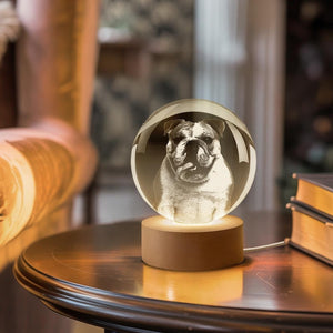 Personalized Crystal Photo Ball, Pet Dog Portrait Night Light, Photo Crystal Light, Christmas Gift, Custom Photo Gift, Pet Loss Gift