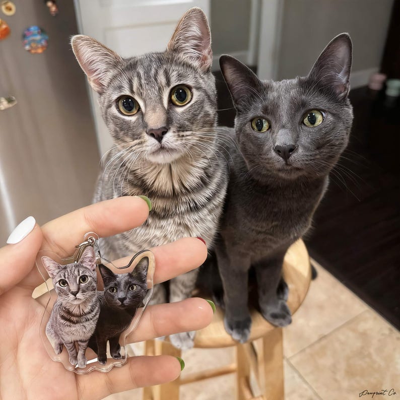 Personalized Dog Keychain, Custom Tabby Cat Keyring, Unique Cat Mom Gift, Custom Pet Photo Keychain, Christmas Gift for Cat Lovers