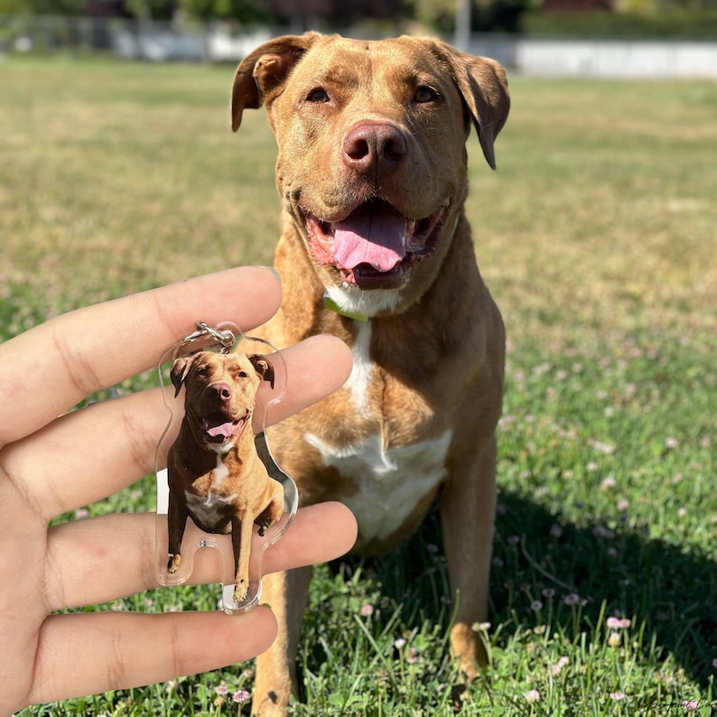 Personalized Dog Keychain, Custom Tabby Cat Keyring, Unique Cat Mom Gift, Custom Pet Photo Keychain, Christmas Gift for Cat Lovers