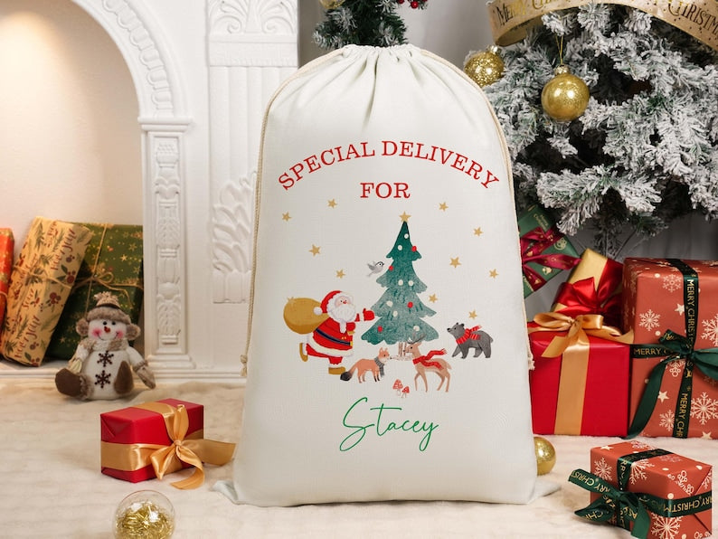 Custom Large Santa Sack, Personalized Christmas Gift Bag, Xmas Gift Bag, Christmas Eve Gift, Santa Bag, Gift for Kids,First Christmas Sack