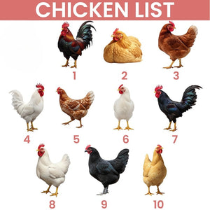 Custom 2 Layered Wooden Family Chicken Coop Ornament, Family Members Name Ornament, Chicken Coop Ornament With Name,Personalized Family Gift