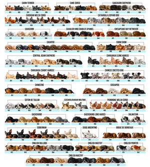 Personalized Dog Ornament 2025 First Christmas Keepsake