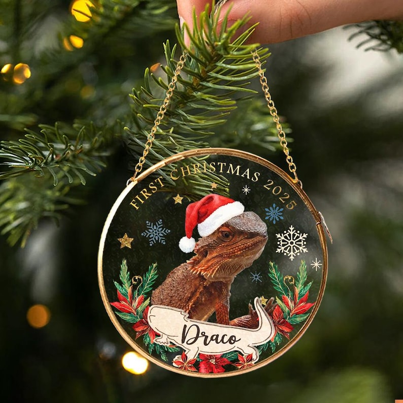 Custom Pet's First Christmas Ornament, Custom Pet Photo Ornament, Dog Lover Gift, Pet Christmas Gift, Pet Owner Gift, Pet Christmas Decor