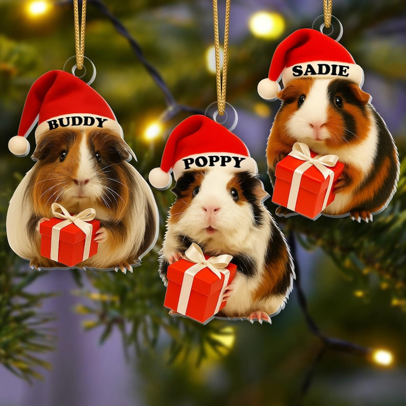 Personalized Guinea Pig Christmas Ornament Custom Pet Ornament with Name, Cute Guinea Pig Gift, Small Animal Lover Holiday Decoration 2025