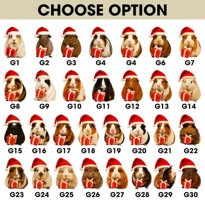 Personalized Guinea Pig Christmas Ornament Custom Pet Ornament with Name, Cute Guinea Pig Gift, Small Animal Lover Holiday Decoration 2025