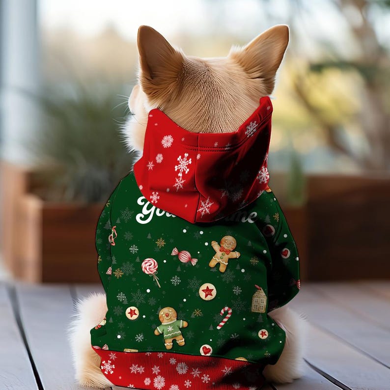 Christmas Custom Dog Shirt, Name Matching Christmas Dog Sweater, Personalized Dog Christmas Gift, Matching Family Gift for dog lovers