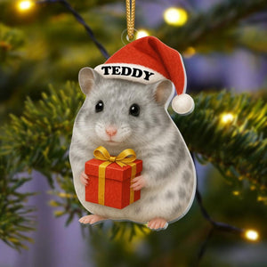 Personalized Hamster Christmas Ornament | Cute Pet Ornament with Name | Funny Holiday Gift for Small Pet Lovers | Custom Xmas Keepsake 2025