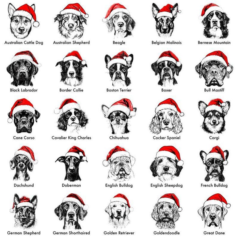 Custom Santa Paws Christmas Dog Sweatshirt, 50 Dog Breeds in Festive Santa Hat T-shirt, Dog Lover Shirt, Funny Christmas Gift Hoodie il_794xN.7332743613_gb78.jpg