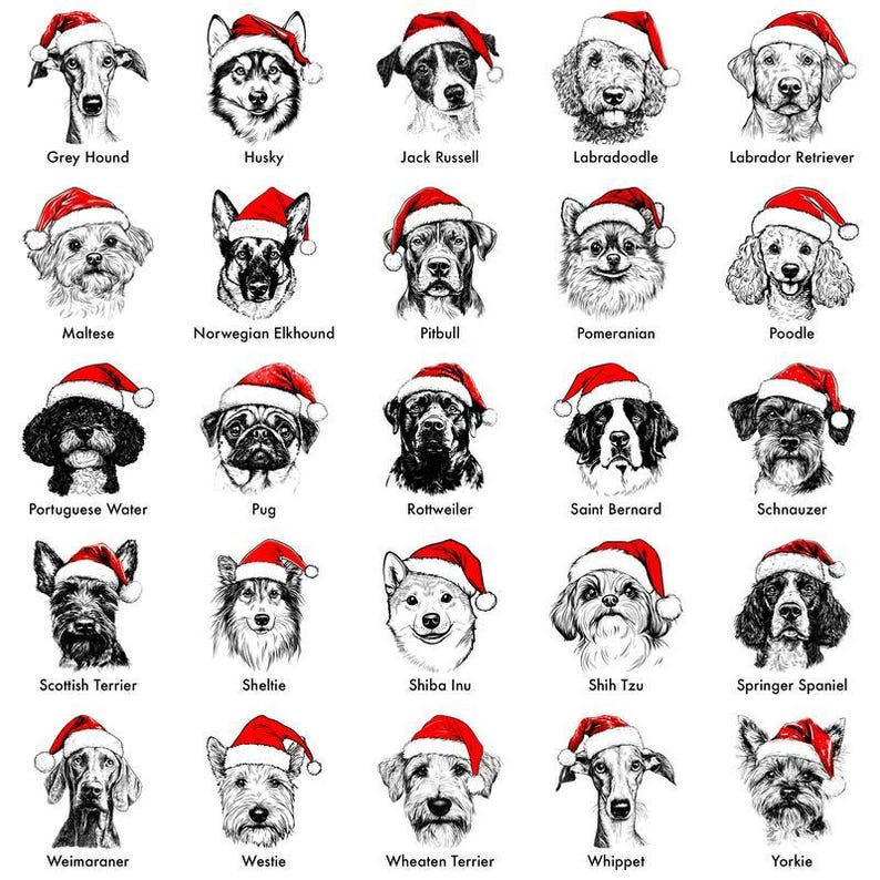 Custom Santa Paws Christmas Dog Sweatshirt, 50 Dog Breeds in Festive Santa Hat T-shirt, Dog Lover Shirt, Funny Christmas Gift Hoodie il_794xN.7332743623_nd6k.jpg