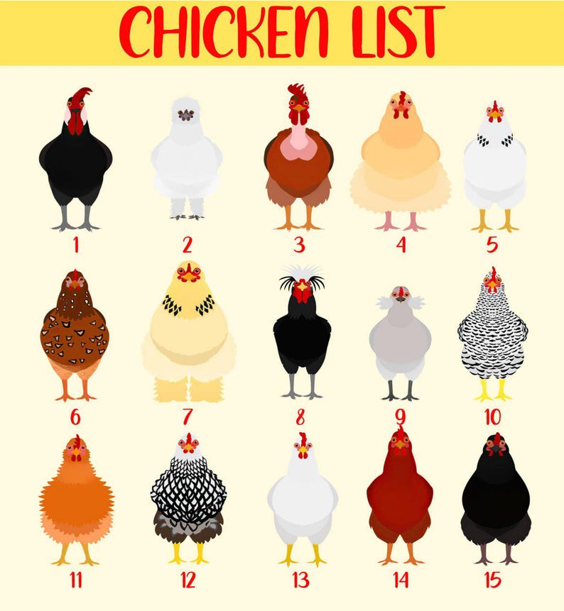 Custom 2 Layered Wooden Family Chicken Coop Ornament: Family Members Name