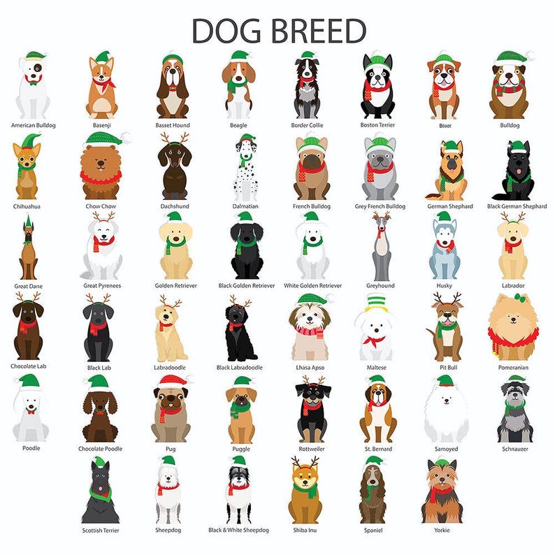 Personalized Christmas Dog Breeds Stocking, Custom Pet Stocking, Dog Stocking, New Dog Gifts, Personalized Gifts For Dog Lover