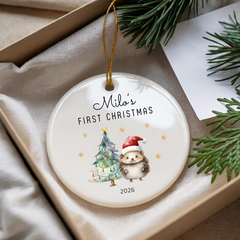 Baby s First Christmas Ornament 2026 Personalized Ceramic Hedgehog Ornament Newborn Christmas Keepsake Gift