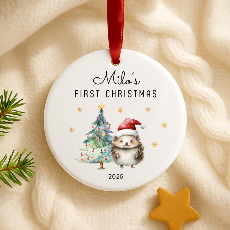 Baby s First Christmas Ornament 2026 Personalized Ceramic Hedgehog Ornament Newborn Christmas Keepsake Gift