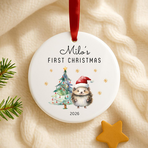 Baby s First Christmas Ornament 2026 Personalized Ceramic Hedgehog Ornament Newborn Christmas Keepsake Gift