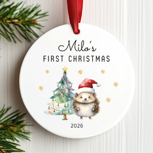Baby s First Christmas Ornament 2026 Personalized Ceramic Hedgehog Ornament Newborn Christmas Keepsake Gift
