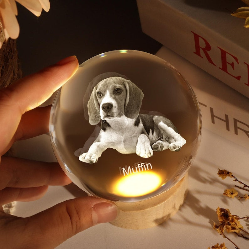 Personalized Crystal Photo Ball, Pet Dog Portrait Night Light, Photo Crystal Light, Christmas Gift, Custom Photo Gift, Pet Loss Gift