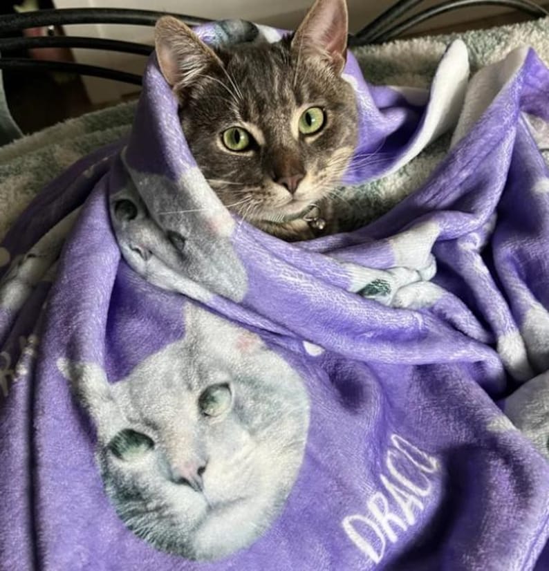 Personalized Cat Blanket, Cat Lover Gift, Custom Photo Blanket, Pet Photo Blanket, Photo Blanket Customized, Cat Dad Gift, Cat Mom Gift