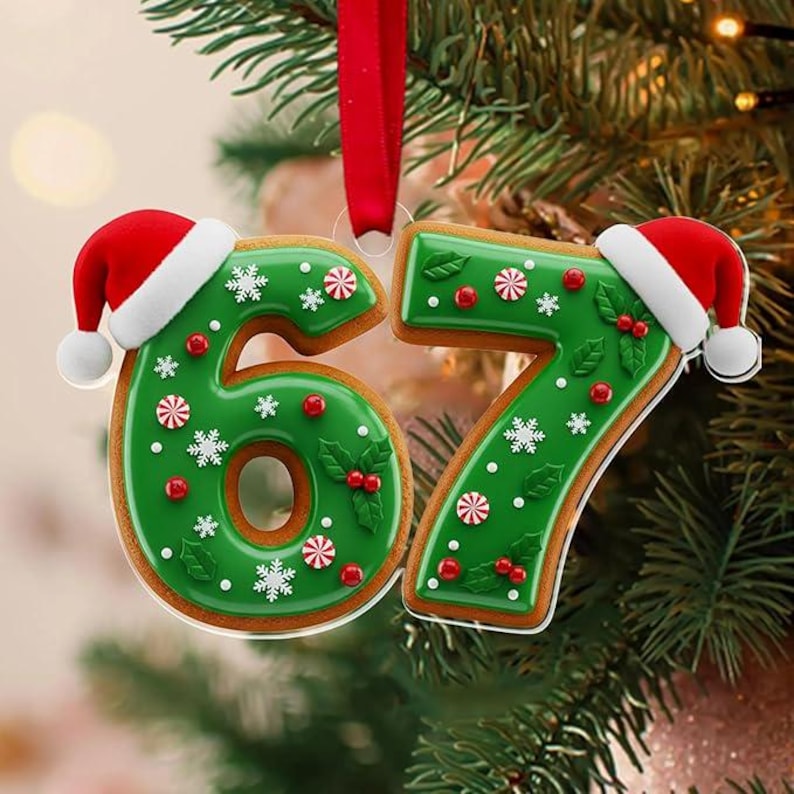 67 Acrylic Ornament, Ornament, Slang Christmas, Funny Teen Grandkid Ornament, Gen Alpha Christmas, 67 Ornament: Gen Z Slang Teen Keepsake