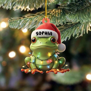 Personalized Frog Christmas Ornament, Cute Frog Ornament, Custom Christmas Frog Keepsake, Funny Animal Ornament, Frog Lover Ornament Gift