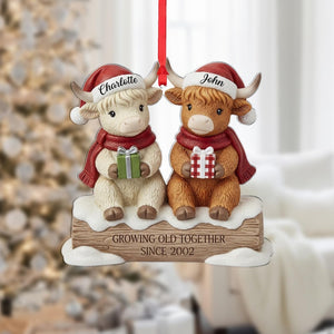 Personalized Highland Cow Ornament - Couple Anniversary Christmas Gift