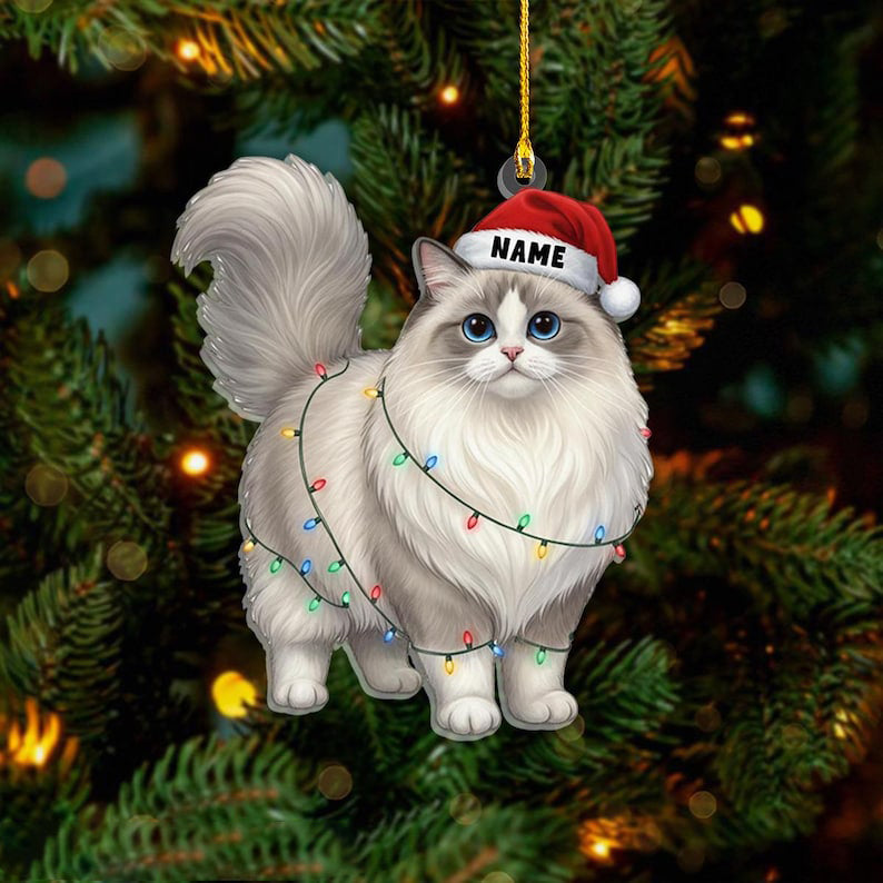 Personalized Ragdoll Cat Christmas Ornament, Custom Name Ragdoll Cat with Santa Hat Ornament, Cat Lover Gift, Xmas Decor, Gift For Pet Lover