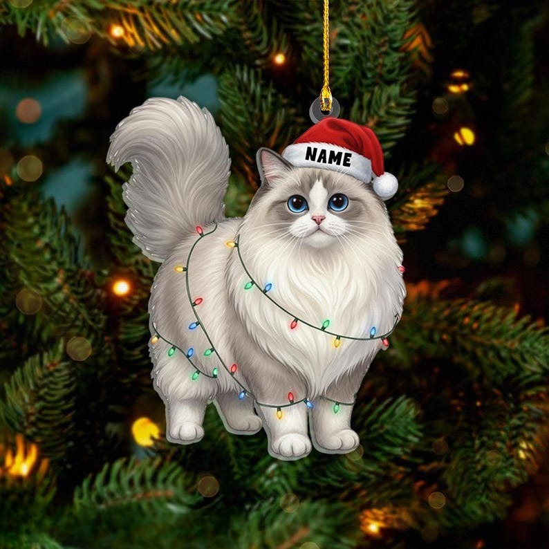 Personalized Ragdoll Cat Christmas Ornament, Custom Name Ragdoll Cat with Santa Hat Ornament, Cat Lover Gift, Xmas Decor, Gift For Pet Lover