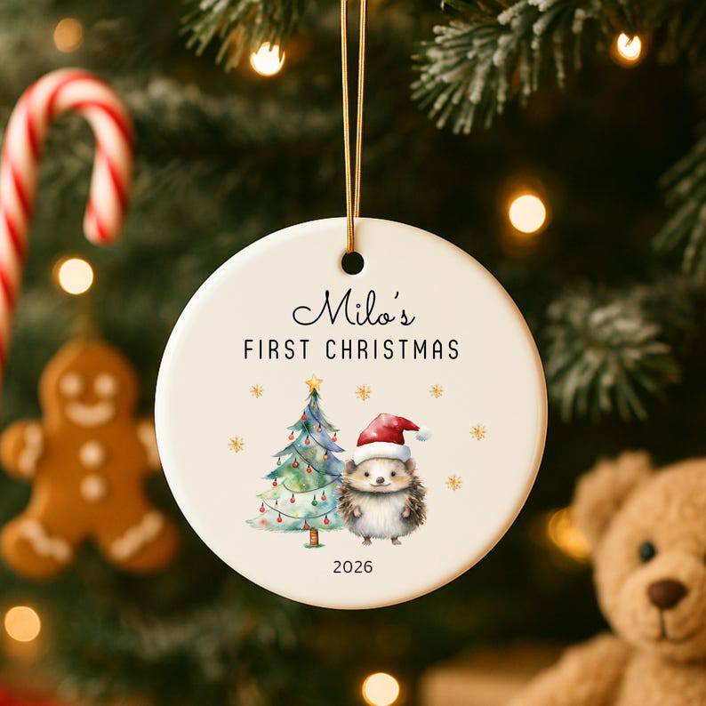 Baby s First Christmas Ornament 2026 Personalized Ceramic Hedgehog Ornament Newborn Christmas Keepsake Gift