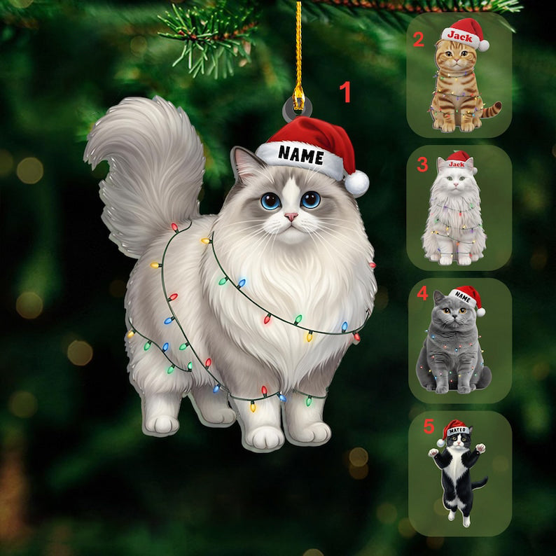 Personalized Ragdoll Cat Christmas Ornament, Custom Name Ragdoll Cat with Santa Hat Ornament, Cat Lover Gift, Xmas Decor, Gift For Pet Lover