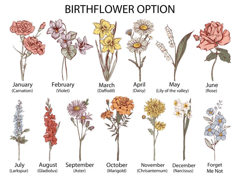 Personalized Birth Flower Letter Pillow,Initial Birth Flower Pillow,Floral Pillow,Birthday Gift for Her,Gift For Mom/Bridesmaid,Wedding Gift