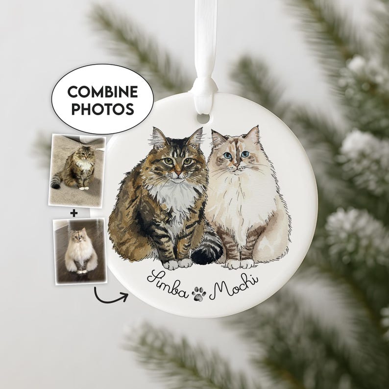 Personalized Multiple Cats Picture Christmas Ornament, Custom Cat Ornament 2025 Using Pet's Photo + Name, Cat Memorial Ornament