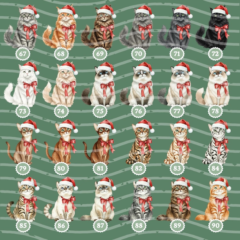 Personalized Cat Christmas Ornament, Custom Pet Ornament, Cat Lover Holiday Gift, Cat Keepsake